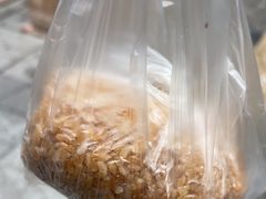 -六广门毛阿姨糯米饭