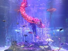 -沈阳海洋探索中心