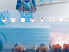 -柴务处·柴犬主题狗咖