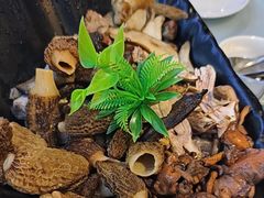 -名善山珍·野生菌汤锅(文殊院店)