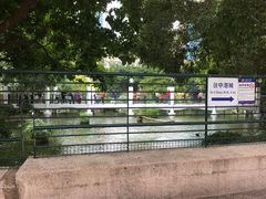 -九龙公园