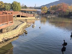 -无锡动物园·太湖欢乐园