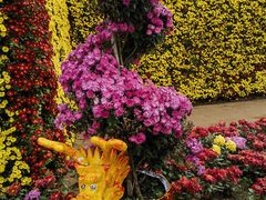 -沈阳植物园