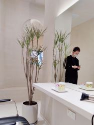 点击看大图 -Garden花園造型