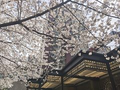 -玛格萝妮比萨屋(四平店)
