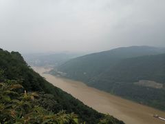 -铁山坪森林公园