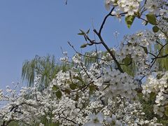 -河北省园博园