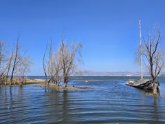 -洱海月湿地公园