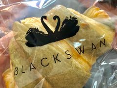 -BLACKSWAN黑天鹅(环球店)