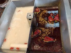 -皇城老妈·大连海鲜火锅(港湾店)