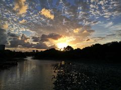 -新江湾城公园