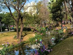 -人民公园(罗湖区)