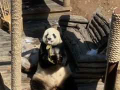 -大连森林动物园