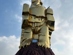 -大金鹰园