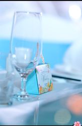 -天泰一站式婚宴·宴会厅