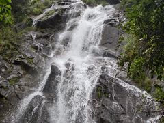 -大围山国家森林公园