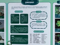 -火炉山森林公园