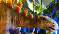 -恐龙探索乐园(磁器口店)