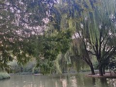 -洛阳市隋唐城遗址植物园