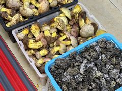 -双喜农庄·菌香园(安居家园店)