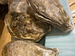 生蚝-清水日本料理铁板烧(学府路店)