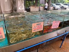 水产区-荔城生鲜盛宴(番禺旗舰店)