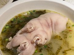 -双流老字号董蹄花(机场南四路店)