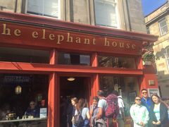 the&nbsp;elephant&nbsp;house-大象咖啡馆