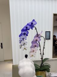 -Dr.U博士医疗美容医院