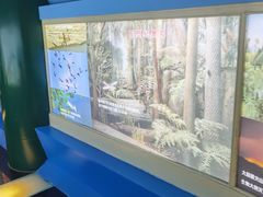 -上海昆虫博物馆