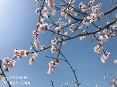 -门城湖公园