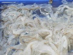 -都斛海鲜街