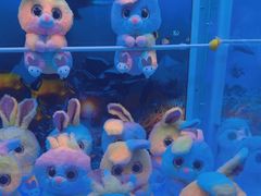 -三亚海棠湾喜来登度假酒店