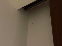 -九华山聚龙大酒店