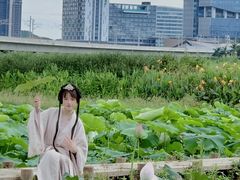 -光明小镇欢乐田园