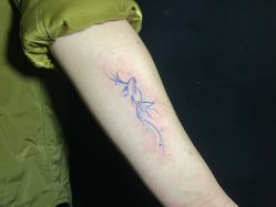 -见雾TATTOO STUDIO