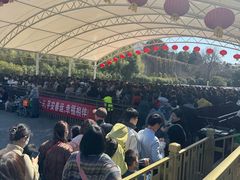 -句容茅山景区