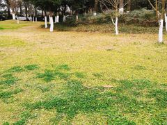 -白鹭湾湿地公园