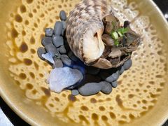 火焰海螺-德川家日本料理(中关村寰太大厦店)