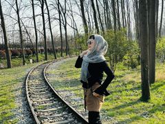 -合肥滨湖国家森林公园