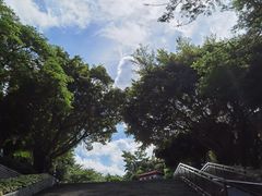 -深圳国际园林花卉博览园