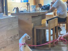 -VOYAGE COFFEE(北锣鼓巷店)