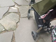 -都江堰中华大熊猫苑