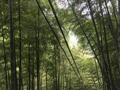 -藏龙百瀑风景区