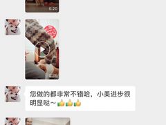 -多乐狗狗宠物训练工作室