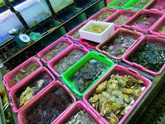 -众味海鲜大排档·活海鲜·潮汕味(南澳店)