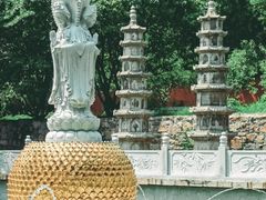 -泰山风景名胜区-普照寺