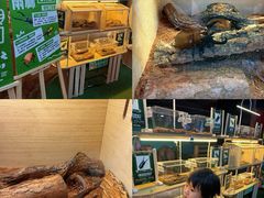 -正佳雨林生态植物园