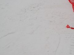 -华彬猛犸滑雪场