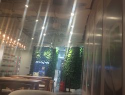 -悦诗风吟innisfree